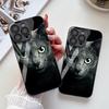 Frightened Eyes Cat Suitable for iPhone17ProMax Metallic Paint Glass Mobile Phone Protective Case 17 All-inclusive Fine Hole