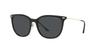 Sunglasses EA4181 Gray Lens 54 [Emporio Armani] Black/Dark