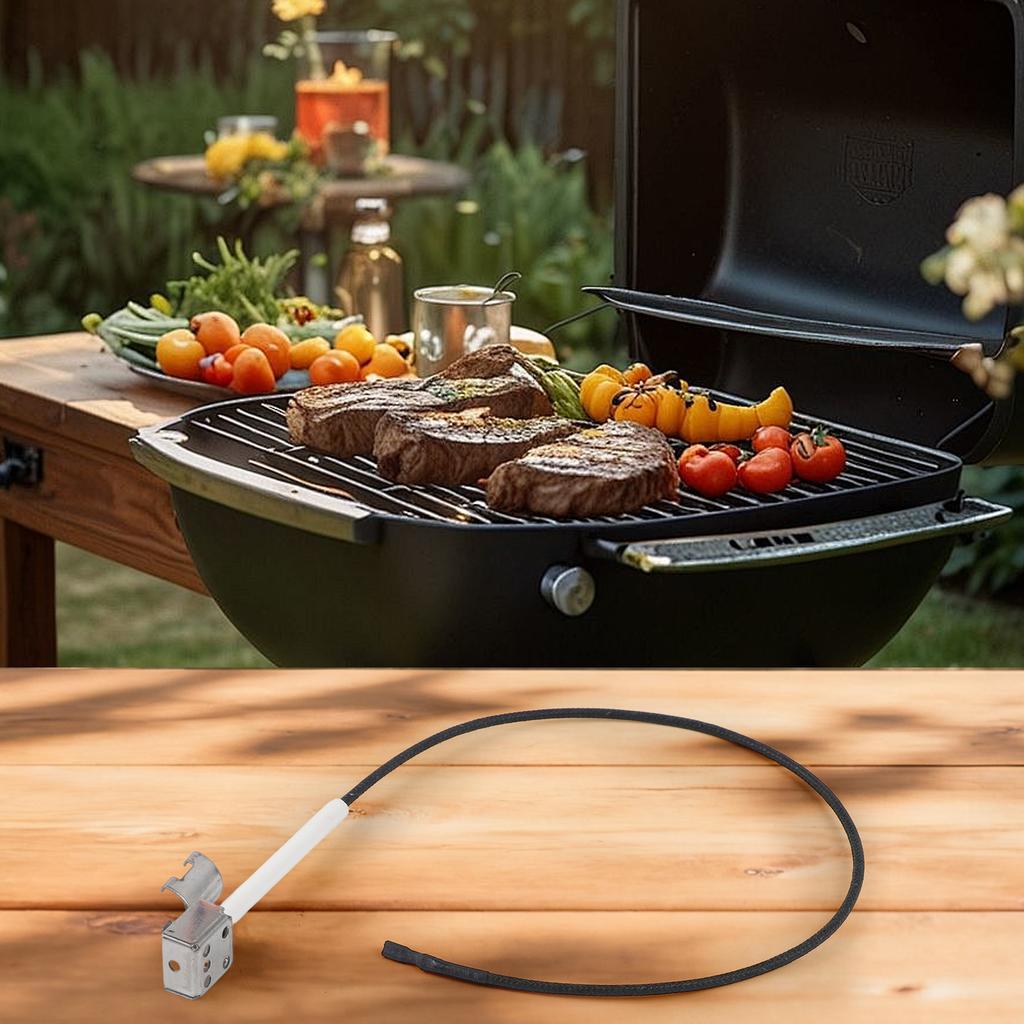 Electrode Igniter For Master Forge For Charbroil Grill Ignition Induction Needle Outdoor Picnic BBQ Grille Oven Accessories