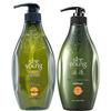 Seifennuss Ölkontrolle Shampoo & Spülung Set
