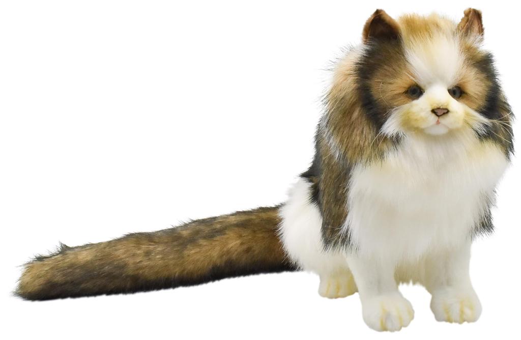 BH8154 HANSA Norwegian Forest Cat 35