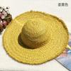 Natural Lafite Straw Hat Sunscreen Large Brim Beach Hat Trendy Foreign Style Color Fur Edge Dome UV Protection Sun Visor