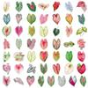 50 Colorful Caladium Leaf Stickers: Realistic Transparent PET for Scrapbooking, DIY & Phone Case Decor