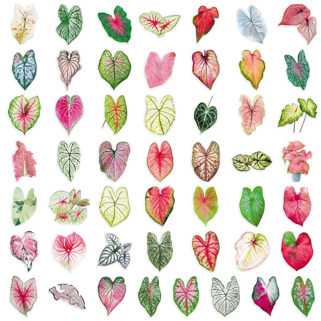 50 Colorful Caladium Leaf Stickers: Realistic Transparent PET for Scrapbooking, DIY & Phone Case Decor