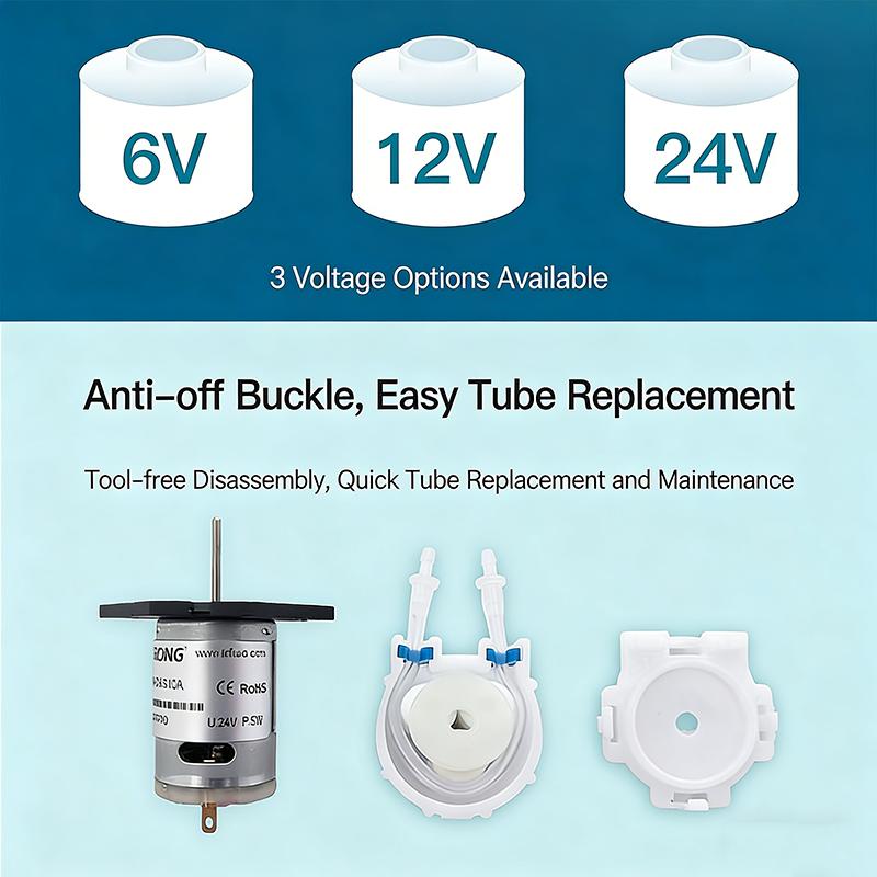 L Board DC 6V 12V 24V peristaltic pump dosing pump aquarium laboratory analysis BPT heat-resistant can be used weak acid alkali