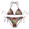 Bikini Small Chest Push Up Slim Hot Spring Resort Swimsuit