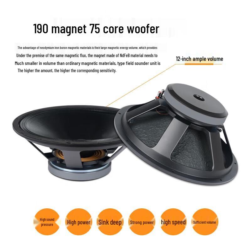 Shile S62+BM12 12-inch Stage & Conference Audio System