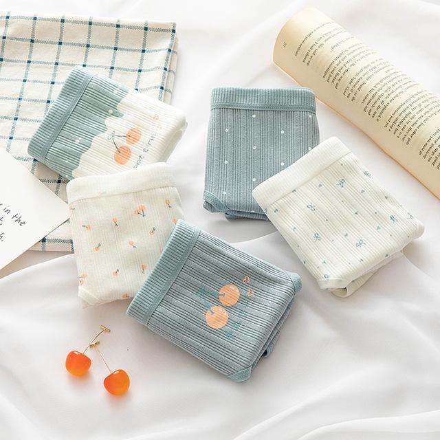 

5PCS/Set Бавовняні жіночі трусики з милим мультяшним візерунком Нижня білизна Прекрасні труси для дівчат Здорова білизна Жіночі труси XL