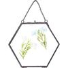 FINGERINSPIRE Hanging Glass Frame Brass Hexagon Wall Frames (6x6 Inches) for Display Pressed Plant Specimen Dried Flowers Black DIY Vintage Artwork