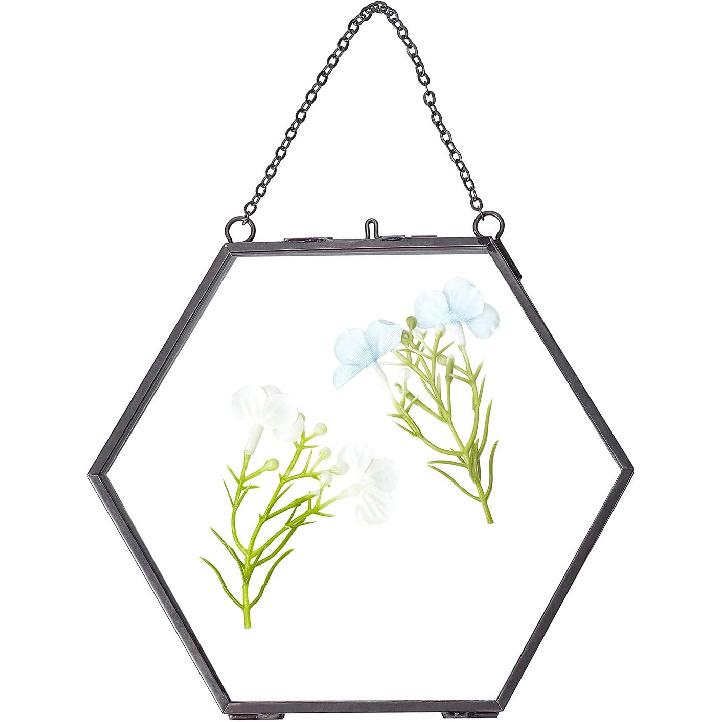 FINGERINSPIRE Hanging Glass Frame Brass Hexagon Wall Frames (6x6 Inches) for Display Pressed Plant Specimen Dried Flowers Black DIY Vintage Artwork