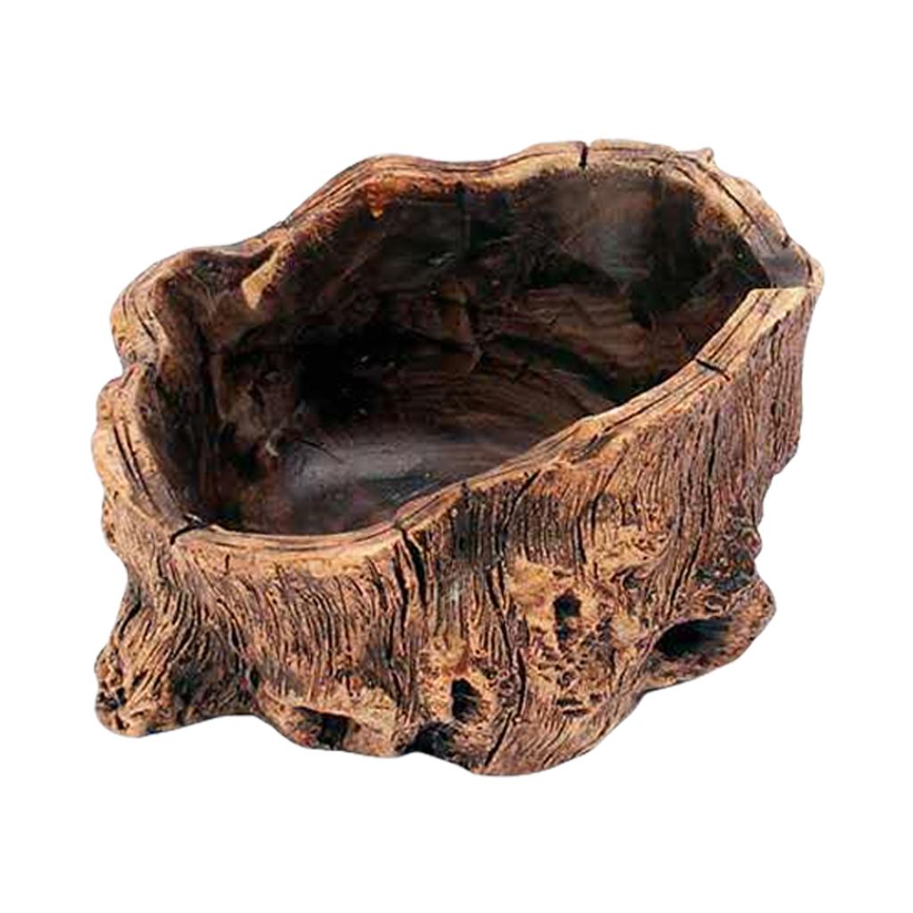 Artistic Cement Flowerpots with Tree Root Designs for Creative Office Home Decoration Balcony Garden Spaces Desk Display