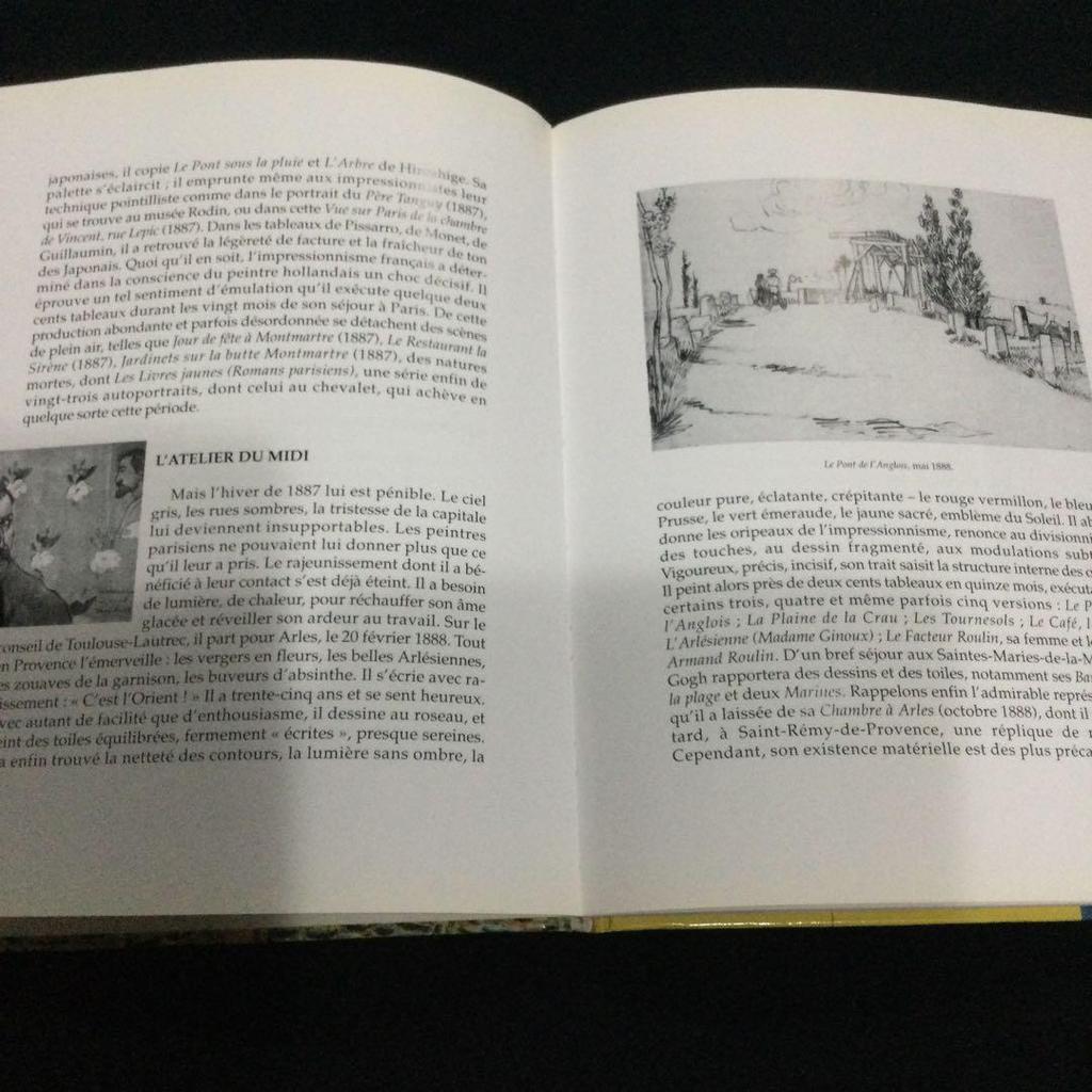 [USED] Van Gogh Art Collection with CD-ROM French Van Gogh Books