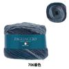SKIYARN Garnfarbe Herbst/Winter "Piaccio 706"