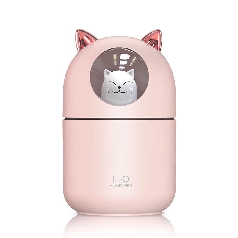 Mini Rechargeable Aroma Diffuser Humidifier