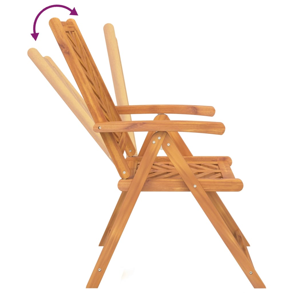 Vidaxl Folding Garden Chairs, 2 Pcs., Solid Acacia Wood