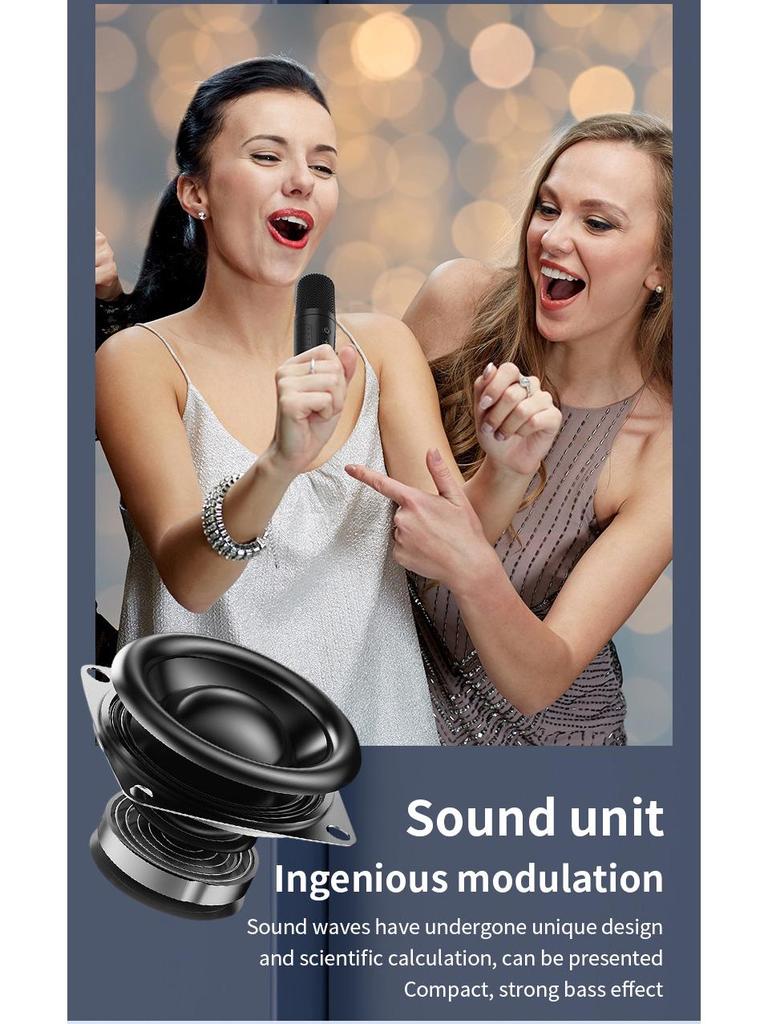 V11 Kabelloser Bluetooth Karaoke-Lautsprecher: Tragbarer, Outdoor-, Schreibtischtauglicher Subwoofer mit Mikrofon