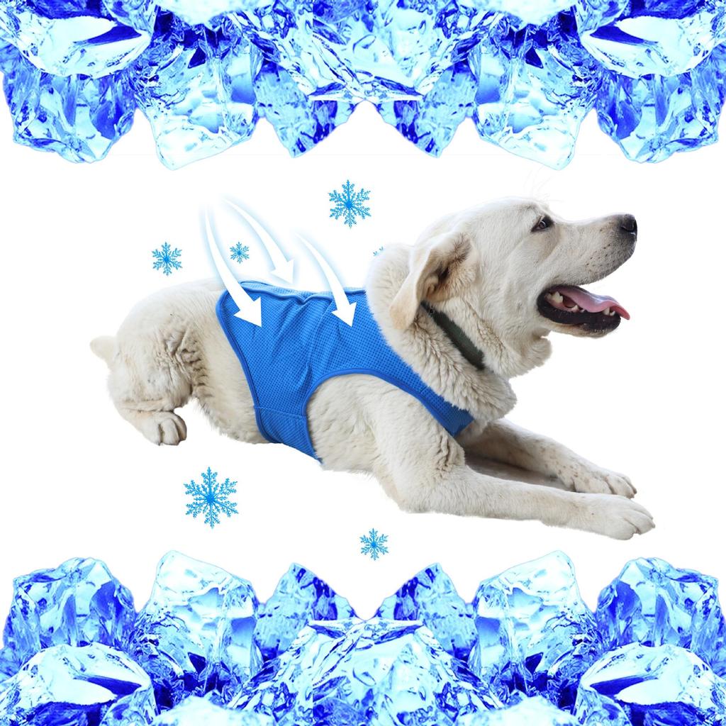 Pet Cooling Vest: Summer Heat Relief for Cats and Dogs