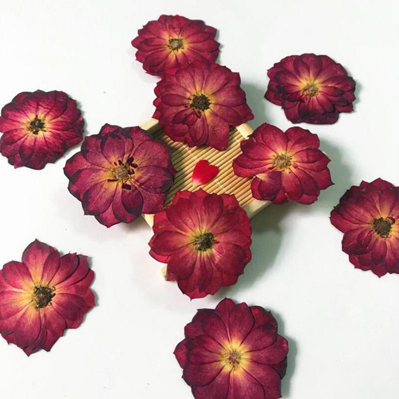 

12 шт./лот портативный DIY домашний орнамент УФ-форма из смолы для изготовления ювелирных изделий универсальный настоящий сушеный цветок розы вино красного