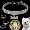 Cani – Collari e guinzagli per cani