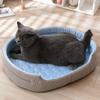 Summer Cooling Pet Cat Bed Cushion Ice Pad Non-slip Dog Sleeping Elliptical Shape Mat for Puppy Dogs Cats Pet Kennel