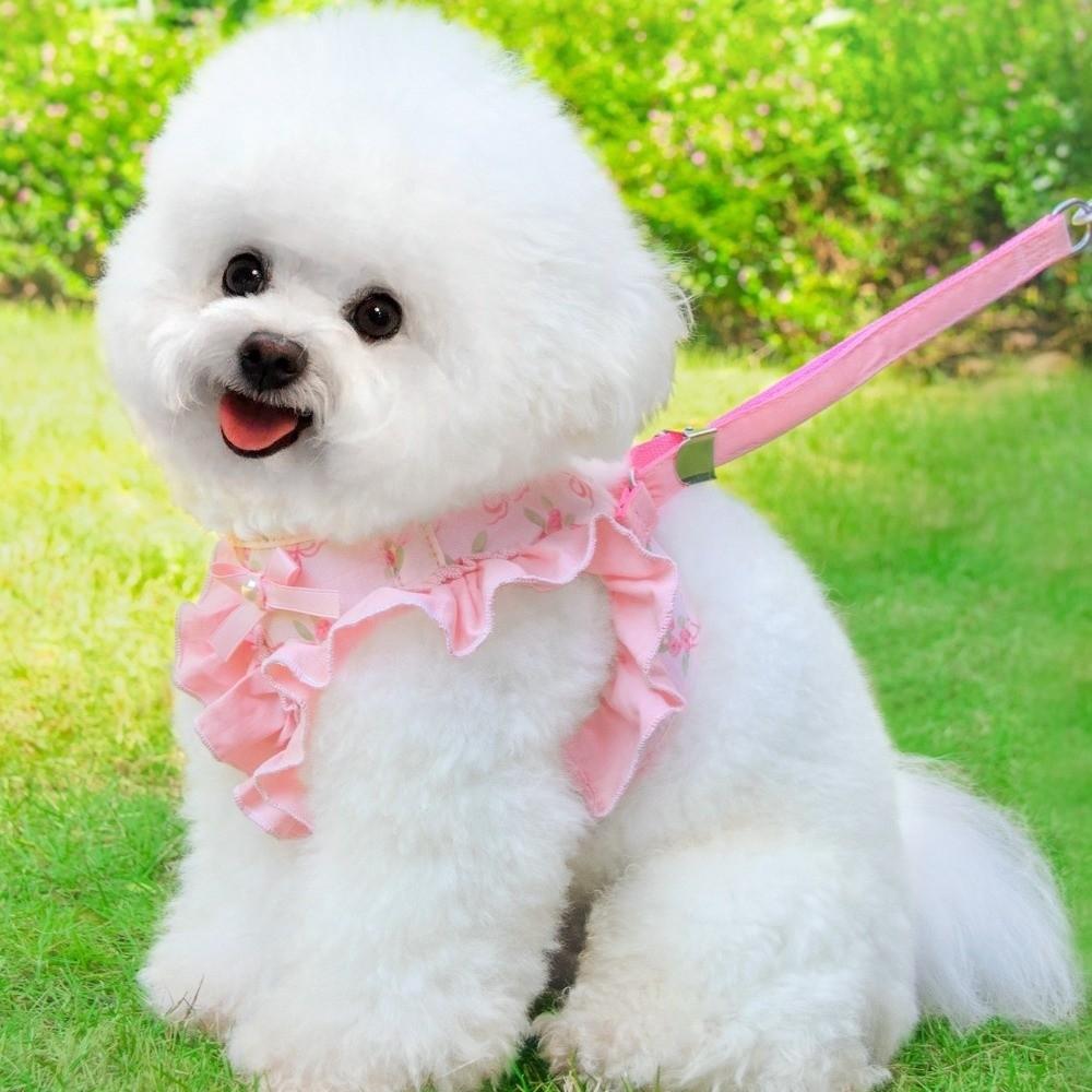 Verstellbares Hundegeschirr und Leine Atmungsaktiv Bequem Haustier-Laufseil Ausbruchsicher Blumenmuster Haustier-Ziehseil