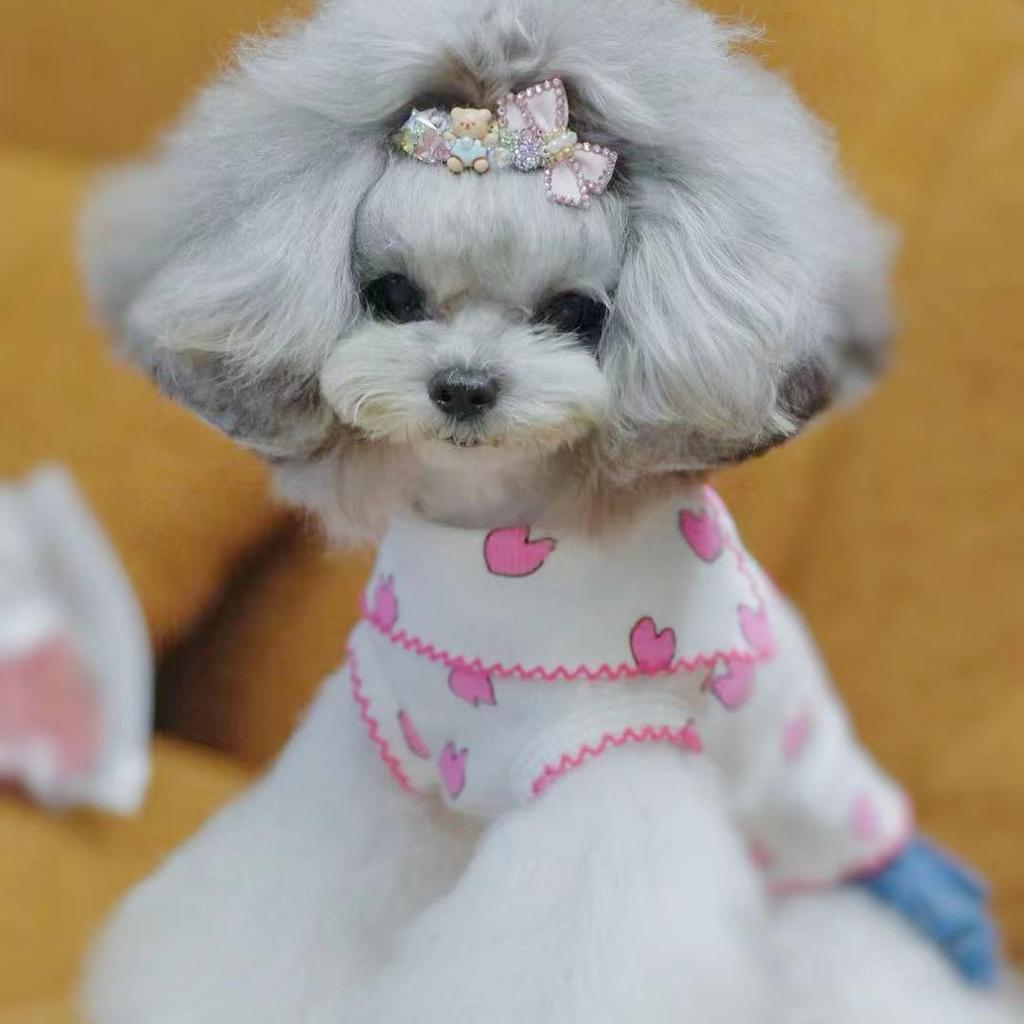 Tangqi Koszulka dla zwierząt domowych kotów i psów z kreskówkowym sercem i kołnierzykiem typu turn-down, styl japoński i koreański, lycra bawełna.