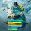 BEARDO Sea Borne Eau De Parfum for Man, 100ml| Long Lasting Fragrance | Perfume For Man | Citrus, Fresh & Aquatic | Gift For Men |