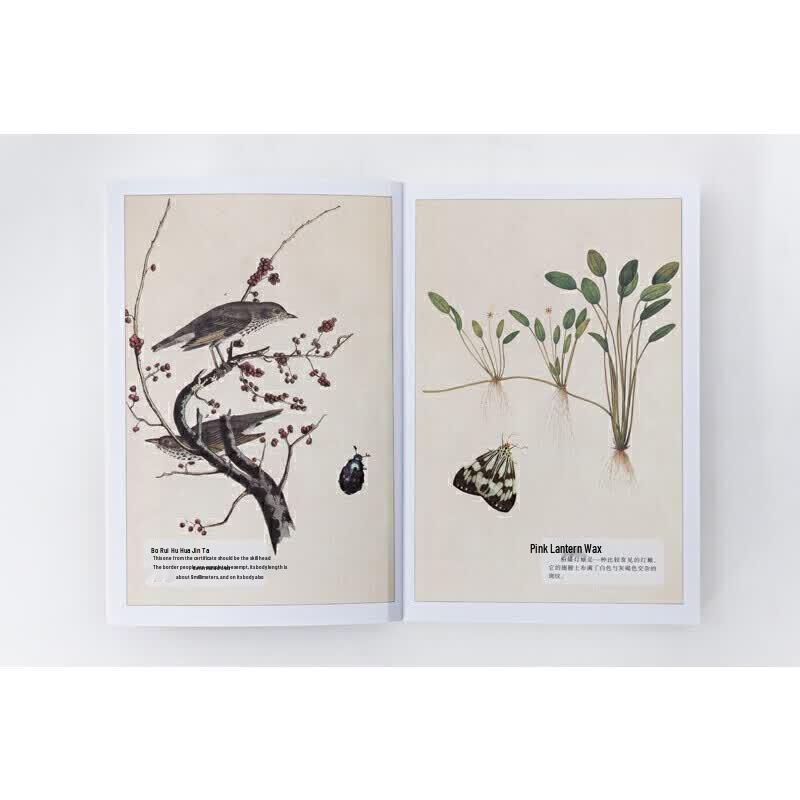 Fabre's The Life of the Insect: Complete 10-Volume Illustrated Collector's Edition