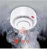 Graffiti Smart WiFi Smoke Detector - Wireless Fire Sensor with Remote Access