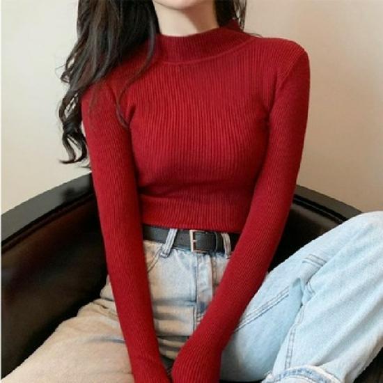 Women's Slim Fit High Neck Sweater: Korean Style, Long Sleeve Knit Top for Autumn/Winter 2024