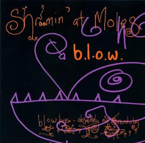 

CD BLOW - Shroomin at Moles COTINDCD4 Japan Japanese Pop/Rock Used