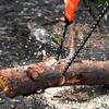 Kell Portable Survival Chain Saw Emergency Camping Pocket Chainsaw Hand Tool