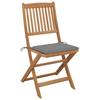 VidaXL Lot de 8 Chaises Pliables de Jardin avec Coussins, Sièges de Terrasse, Chaises de Salle à Manger, Meubles de Patio 3075022