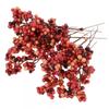 10pcs Artificial Berry Stems Christmas Berry Picks Decor Berries Branches