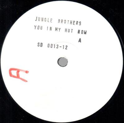 12inch Record JUNGLE BROTHERS - You In My Hut Now SD001312 Sound Design 2002 Germany Dance & Electronica Used
