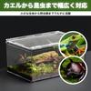 SESHIS Reptile Cage Box, Acrylic, Transparent, 20x15x10cm, Single Item