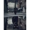 Black Cat Panther Animal Reflection DIY Diamond Painting Cross Stitch Mosaic 5D Full Drill Diamond Embroidery Scenic Wall Decor