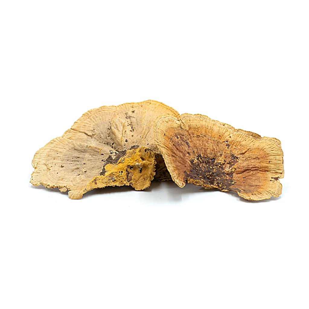 BioHub Natural Huba 6 Pcs In a Package