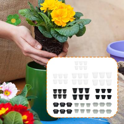 Orchid Planters Plastic Mesh Net Cups Breathable Flowerpots for Root Growth Patio Balcony Dining Table Vase Decor
