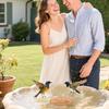 Passivated Copper Birdbath Purifier Disc 3 Leg Design Maximizes Water Contact Prevents Green Build Up Efficiently