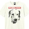 Amplified Unisex T-Shirt für Erwachsene, Motiv: „What I Want“ von Dalmatiner
