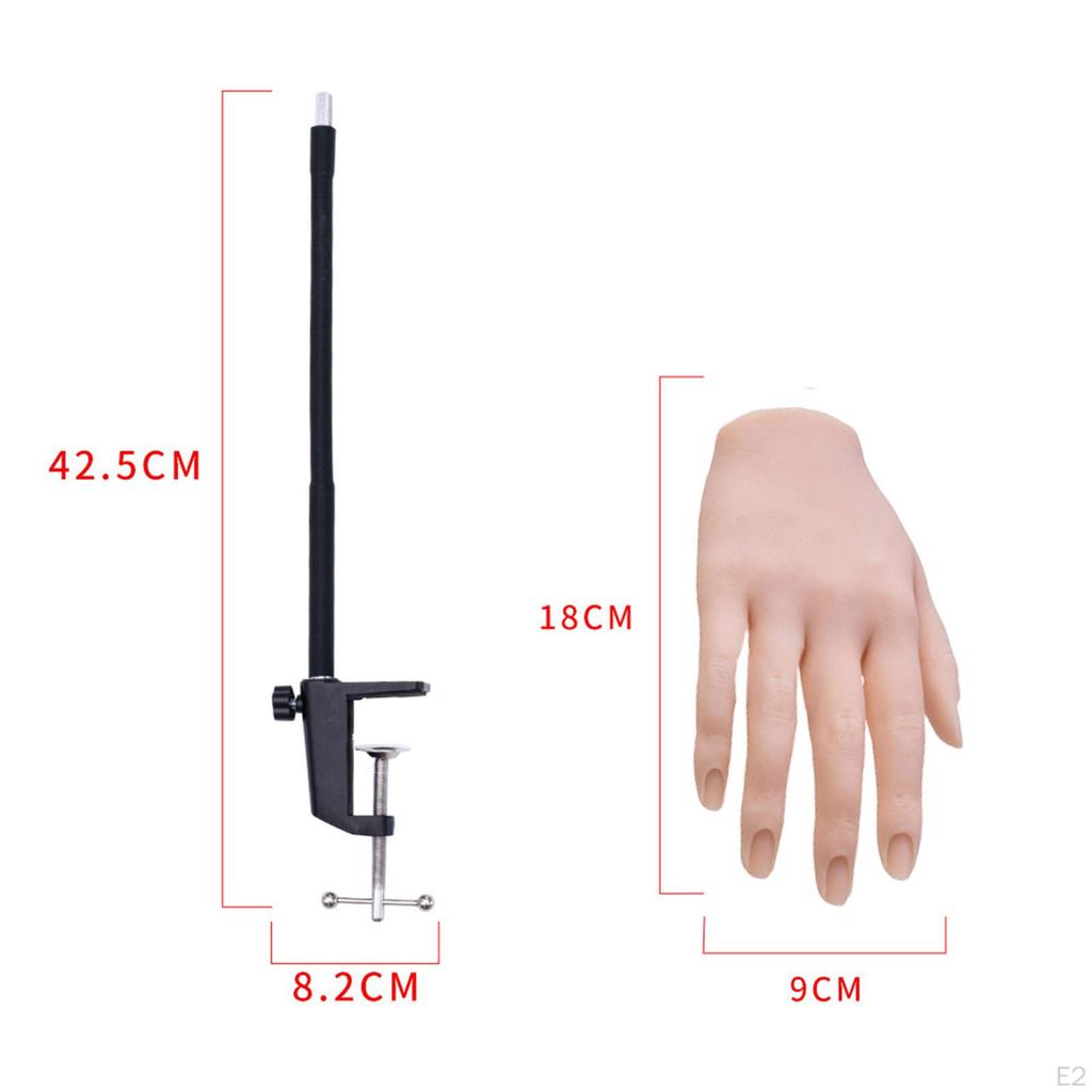 Nail Training Right Hand with Bracket Soft Fake Supply DIY Display