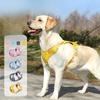 Dog Leash Vest Type Dog Chest and Back Anti-explosion Impact Medium and Large Dog Reflective Chest and Back Strap Anti-escape Dog Leash