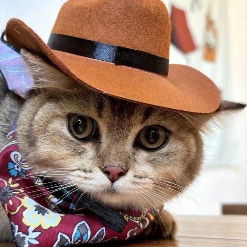 Western-Themed Pet Cowboy Hat for Both Cats And Dogs Pet Supplies