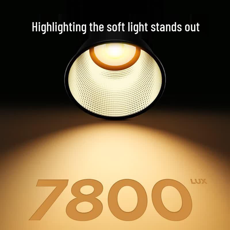 SOULMATE E300BI Max 300W Bi-Color DMX LED Video Light