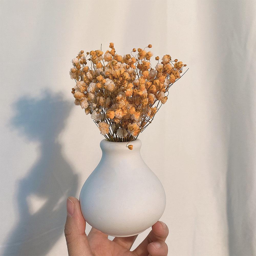DIY Party Natural Small Mini Pressed Babysbreath Bouquet Dried Flowers Dry Flower Gypsophila