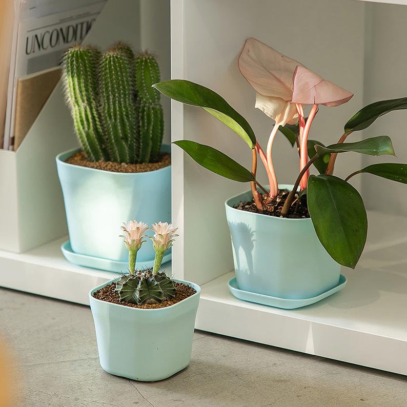 Nordic Style Thickened PP Plastic Square Flower Pot for Seedlings and Succulents