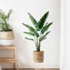 Tropical Potted Plant Wall Sticker Removable Background Decor for Bedroom Living Room Home Decoration
