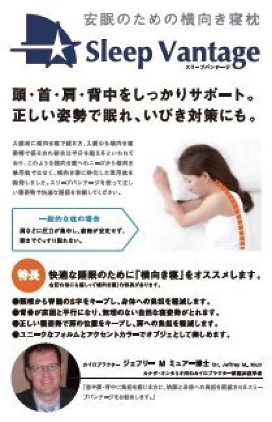 France Bed Side Sleeper Pillow, Sleep Vantage, Blue