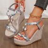 Fashion Metal Decoration Wedge Heel Sandals for Women 2025 Summer Chunky Platform Sandals Woman Thick Bottom Printed Bohemian Sandalias